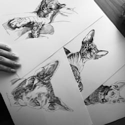 alessiatelier