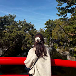 mochi_goma