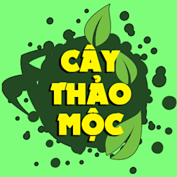 caythaomoc