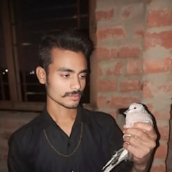 rohitranjan689
