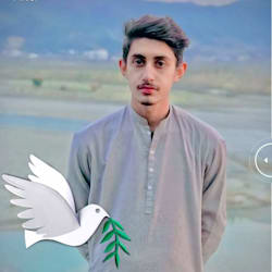 aammar56