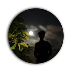 shen_perer