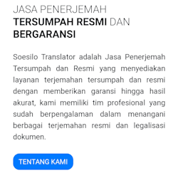 translator_lady
