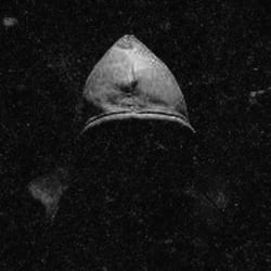 necrorey