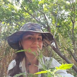tinygardenlab