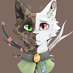 kattepuffs