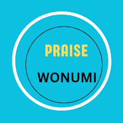 praise_wonumi