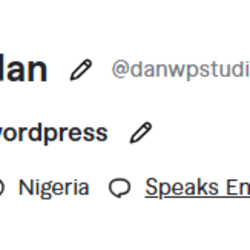 danwpstudio