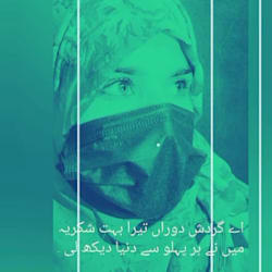 tanqeelamalik
