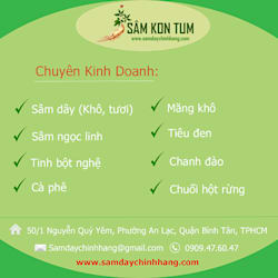 samdaychinhhang