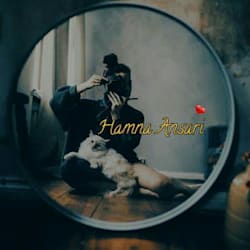 hamnafaiz771