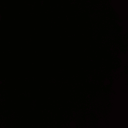 ilicht