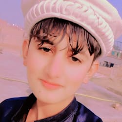 niazisahib247