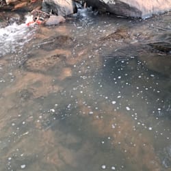 anggaripa
