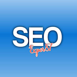 seo_exper87