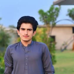 hamzaameer610