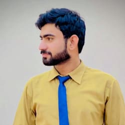 roshi_developer