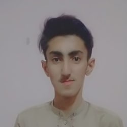logo_ameerhamza