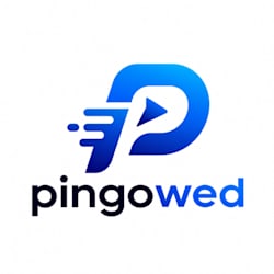ping_owed