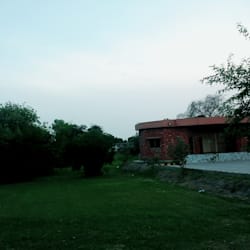 nidakhurshid298