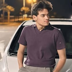 ramizzaheer