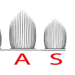 sas_arch