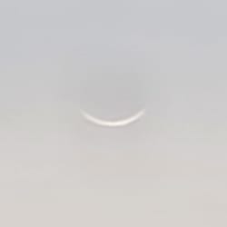 saim_78_6