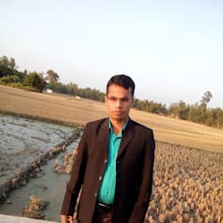 seoexcellencys