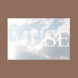 muse_builds