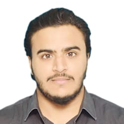 malikhamza345