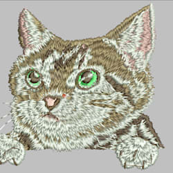 anson_digit