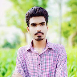 sajidmehmood772