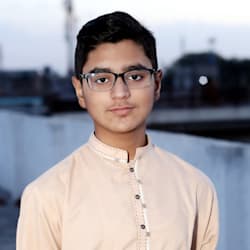 faiz_ali_bhatti