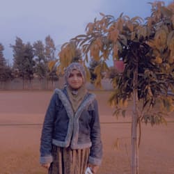 mariaomar416