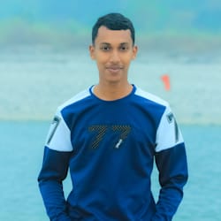 web_arman