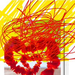nialefx