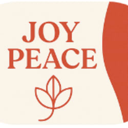 joypeace861