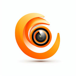 y_productions