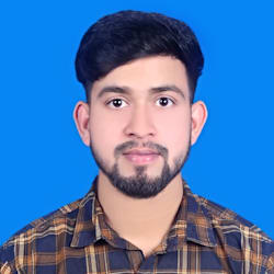 mirzahasibul786