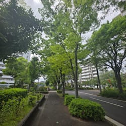 sumanwrite