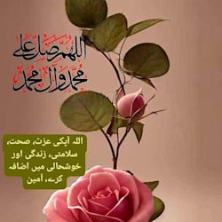 mhamzadataentry