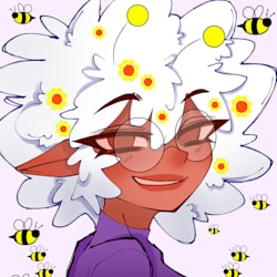 imbeemaxine