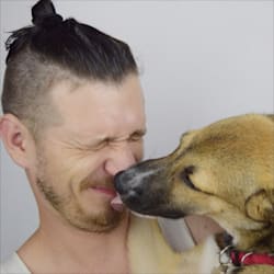 igreg4