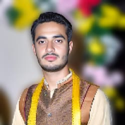 talhaamanat142