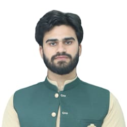 hamzaaliweb