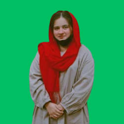 zainab_asad_dev