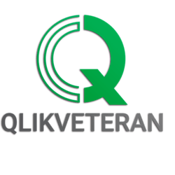 qlikveteran