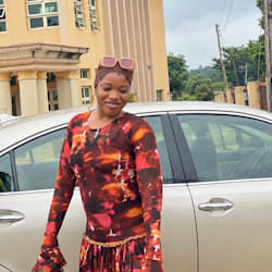 seyifumidemo1