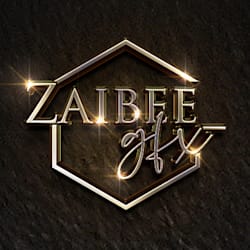 zaibee_gfx