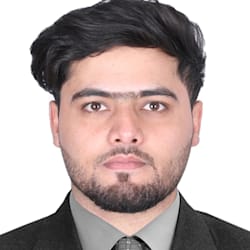 omidmalikzada